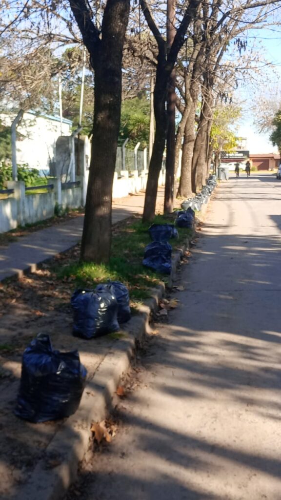 hojas embolsadas_pryecto vecinos x Mercedes