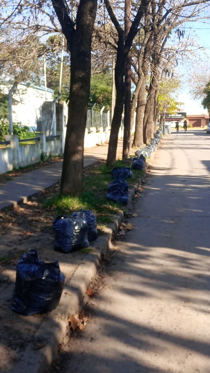 hojas embolsadas_pryecto vecinos x Mercedes